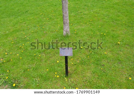 empty sign in grass with tree and dandelions