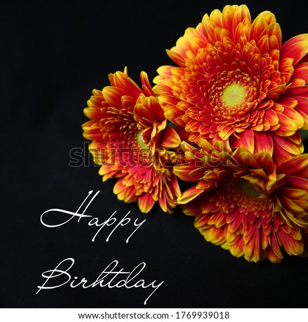 happy birthday, card with flowers