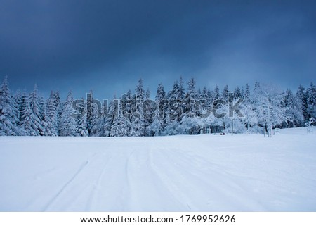Landscape of deeply frozen mountain forrest Royalty-Free Stock Photo #1769952626