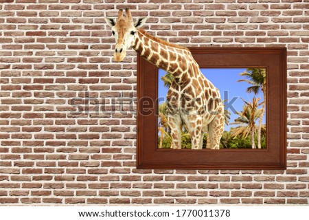 Giraffe in wooden frame with 3d effect on old brick wall. Copy space for text
