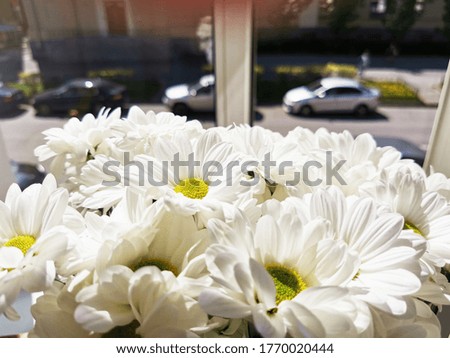 A bouquet of white chrysanthemums stands on the window. Close-up.