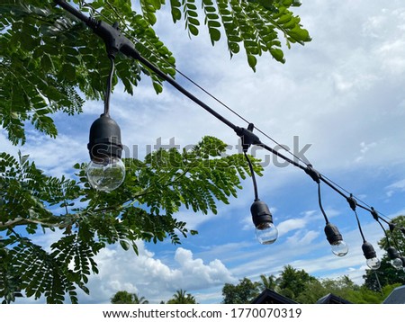 Lamps hanging on tree for decoration with sky background at cafe coffee.