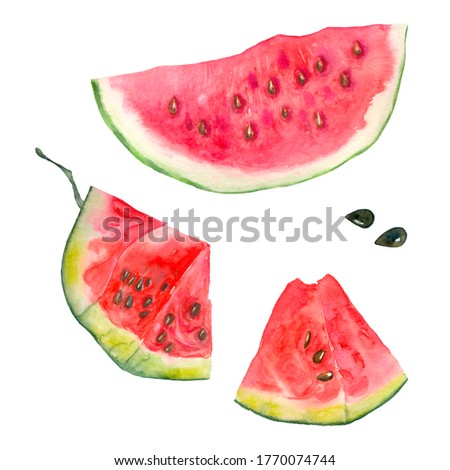 Bright watercolor watermelon. Slices and slices of red watermelon with seeds. Summer vacation and food. Watercolor. Organic, green, red. For the design of postcards, stickers, clothes, textiles