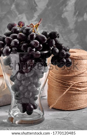 Bunches of fresh ripe dark grapes on a concrete textural surface. Red wine grapes.