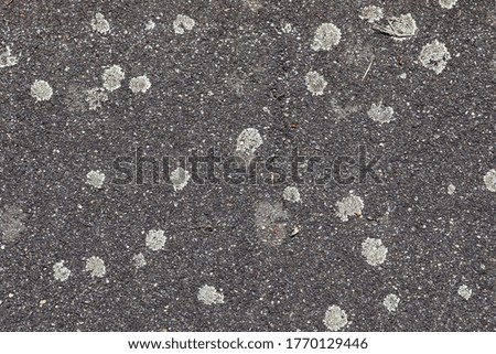 Detailed view on asphalt surfaces of different streets and roads with cracks in a close up