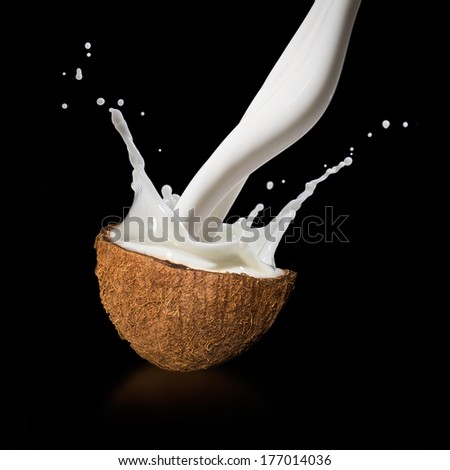 Coconuts with milk splash on black background 