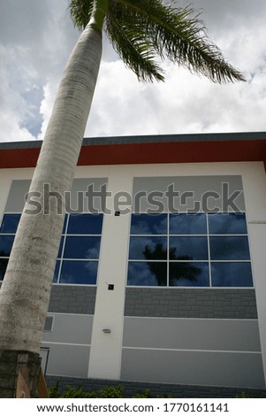 Colorful corporate buildings close up angles with palm trees