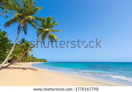 Beautiful wild beach in the Caribbean Atlantic ocean. The best beaches of the Dominican Republic. Royalty-Free Stock Photo #1770167798