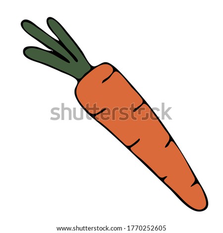autumn harvest from the garden from the garden - orange carrots, doodle style vector element, black outline