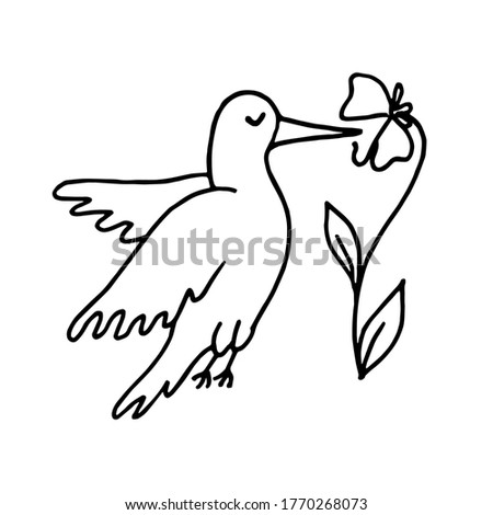 Hand drawn doodle little 
hummingbird flying around flower. Vector illustration isolated on white.