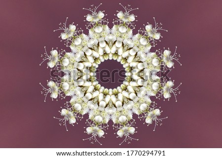 Flower composition. Stylized wreath from a fragment of a white flower. Kaleidoscope of 12 radial symmetry
