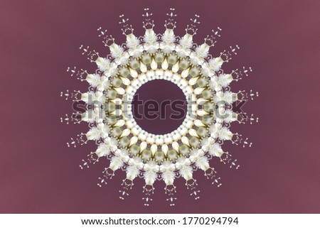 Flower composition. Stylized wreath from a fragment of a white flower. Kaleidoscope of 24 radial symmetry