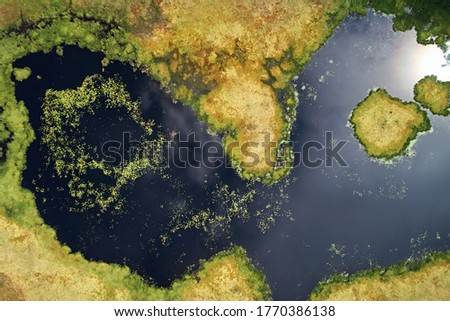 Top view of the lake and swamp on the background of green forests on a sunny day in summer. Floating islands in the water