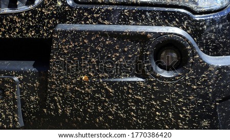 insects and midges squashed on the car