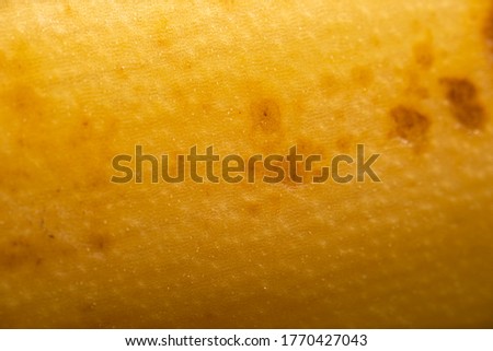 Ultra macro photo of an Australian ripe banana