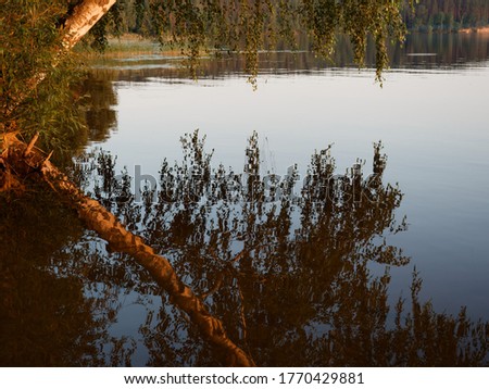 expanse of water on the lake in the evening