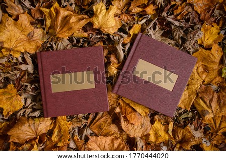 Two leather brown books with a gold nameplate on a background of brown leaves. Wedding photo book. Place for text.