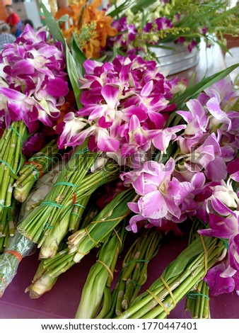 pink orchid.flower images for monks.Orchid flowers and pandan leaves prepare to pay respect to Buddha images, Thai temples, Buddhist symbols.