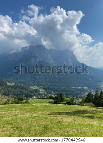Fields in south Tyrol during the summer