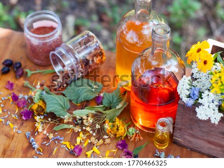 dry and fresh ingredients for herbal medicine of linden, rose, chicory, calendula, lavender, rose hip and yarrow with essential oil in glass bottles