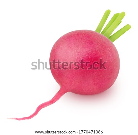 Fresh whole radish isolated on a white background. Clip art image for package design.