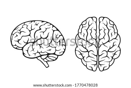 human brain icon set. side and top view. isolated vector mind, psychology and neurology symbol