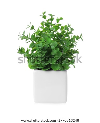 Beautiful artificial plant in flower pot isolated on white Royalty-Free Stock Photo #1770513248