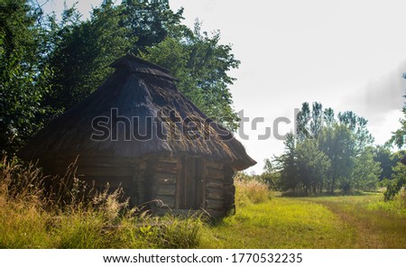 Old ukrainian houses in the forest
