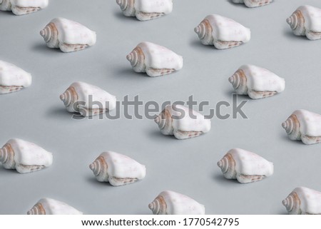 Shell pattern on a grey background. Concept photos for summer clothing or fashion prints for summer.