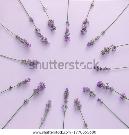 lavender flowers laid out in a circle