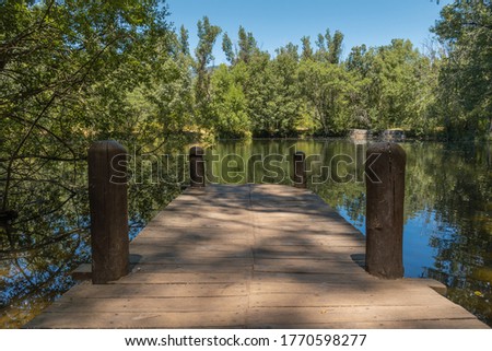 
Old abandoned jetty lit by sunlight among trees