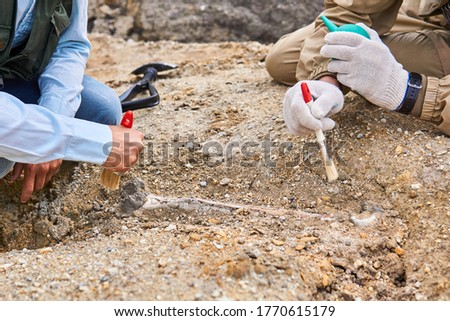 hands of paleontologists cleaning the fossil bone found in the desert Royalty-Free Stock Photo #1770615179