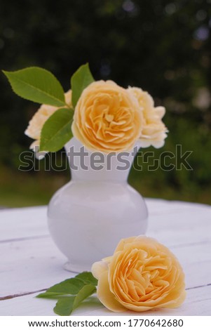 beautiful gorgeous roses in a white vase on an old white wooden table