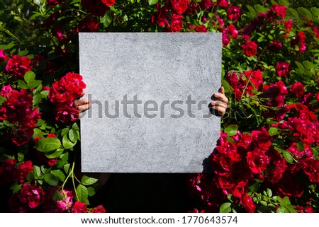 female hands hold  concrete background black against the background of a flowering bush with roses. Flat lay, top view, copy space
