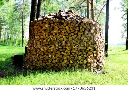 photo on a large pile of firewood harvested for heating season