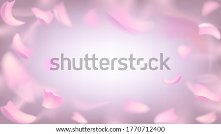 Vector background with blurry flying pink rose or sakura petals