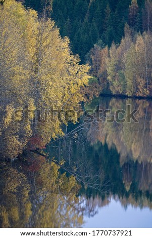 Colorful autumn landscape by the river
