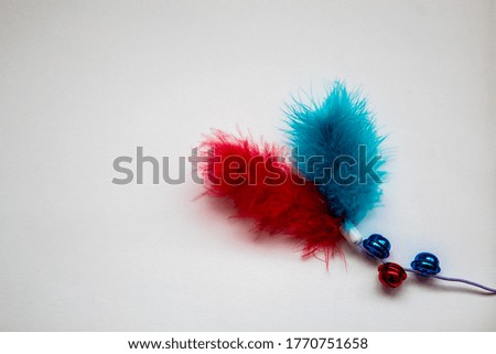 red and blue feather with bells for playing