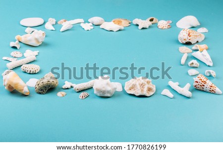 Frame for photo is made from different kinds of seashells, corals in front of a blue background, isolated with a caption for text. Vacation memory concept