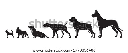 Shorthair dog breeds by size - isolated vector illustration