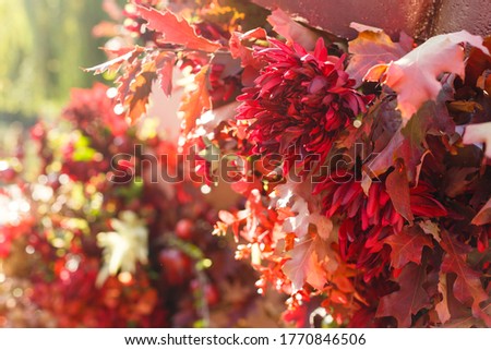 Autumn bouquet of yellow and orange flowers, red berries and maple leaves lying on the grass