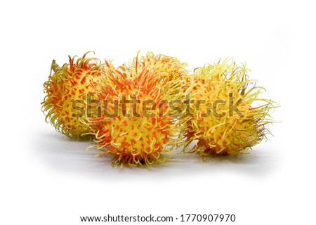 Yellow Colour Rambutan a famous and rare fruit in Asia