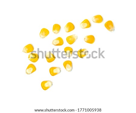 corn seeds isolated on white background  Royalty-Free Stock Photo #1771005938