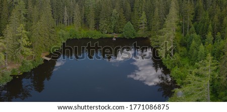 Drone aerial panoramic view of Podolerteich a beautiful alpine lake in the middle of the forest with visible wooden pier.