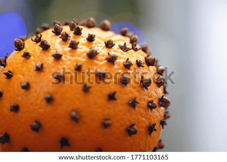 orange decorative with carnation on a christmas background
