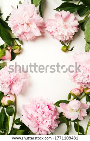 Border frame made of pink peonies flower on white background. Flat lay, top view. Frame of flowers.
