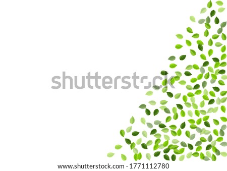 Grassy Foliage Falling Vector Banner. Blur Leaves Wallpaper. Lime Leaf Flying Border. Greens Transparent Backdrop.