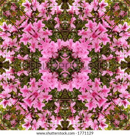 I used one of my photos of Azaleas to create this kaleidoscope background.
