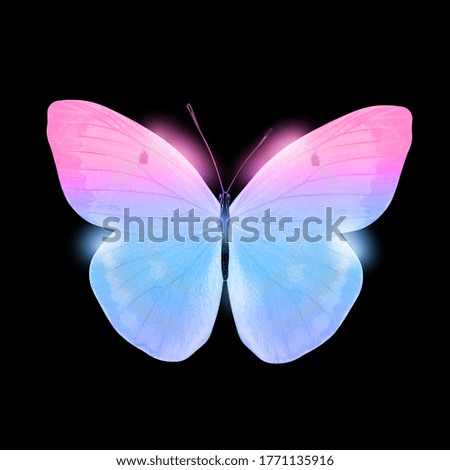 color butterfly isolated on black background