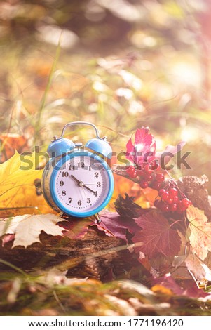 Vintage alarm clock and maple tree leaves in autumn forest. Autumn season image style. Fall Back Daylight Saving Time concept. Daylight savings time. autumn season. fall time. copy space